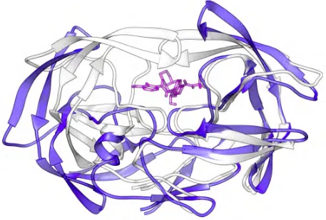 Figura 1.9 Escape de proteasa a Nelfinavir. Se muestra como el fármaco inhibidor de proteasa mostrada en blanco; un conjunto de mutaciones de resistencia provocarían cambios conformacionales en la proteasa sin alterar su función pero brindándole resistenci