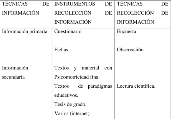 Cuadro 6 .Plan de Procesamiento. 