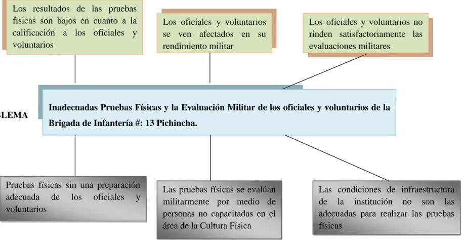 Cuadro  1: Relación Causa-Efecto 