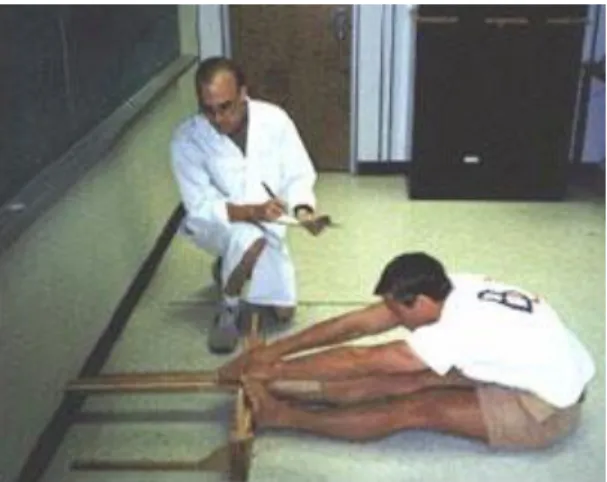 Fig. 8 Test de Wells y Dillon o "Sit and Reach" 11 