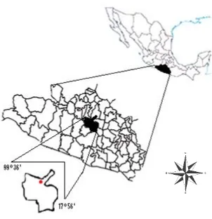 Figura 1. Ubicación del sitio de recolecta de Aspidoscelis costata costata en la localidad de Mezcala, Guerrero (Círculo)