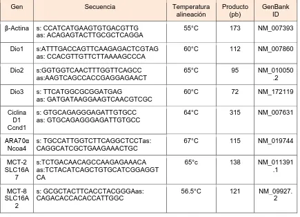 CUADRO 6. Características de los oligonucleótidos utilizados en la PCR. 