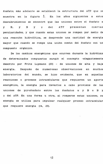 figura 1. 