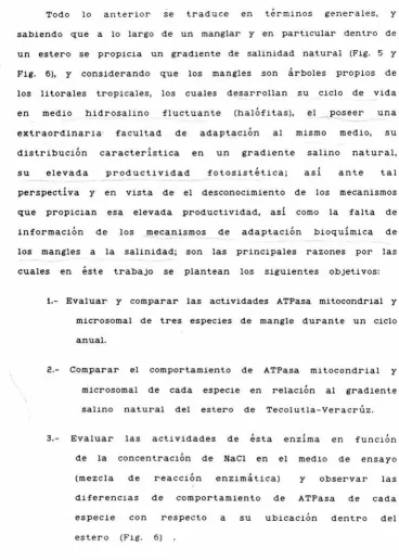 Fig. 6), 