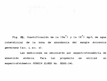 Fig. 29. 