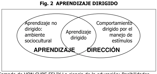 Fig. 2  APRENDIZAJE DIRIGIDO 