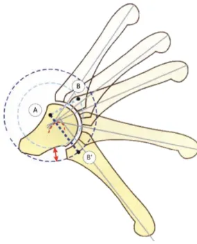 Figura 1.7 