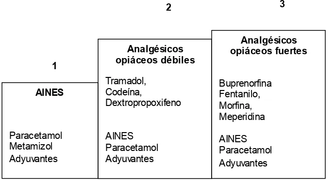 Figura 1.  Escalera analgésica propuesta por la OMS 