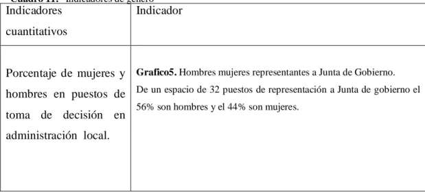 Cuadro 11.   Indicadores de género 