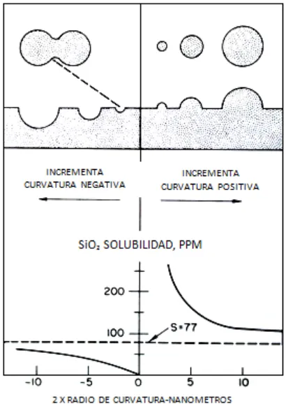 Figura 2.4-Variación en la solubilidad de la sílice con respecto al radio de curvatura de la superficie