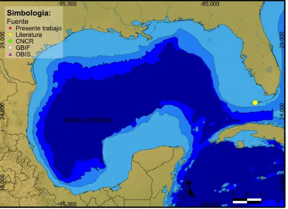 Figura 28. Distribución en el Golfo de México de Gonodactylaceus falcatus. Proyección utilizada: coordenadas geográficas; Datum: WGS84; Escala: grados; Elaborado con: Quantum GIS 1.7.1.; Año: 2013