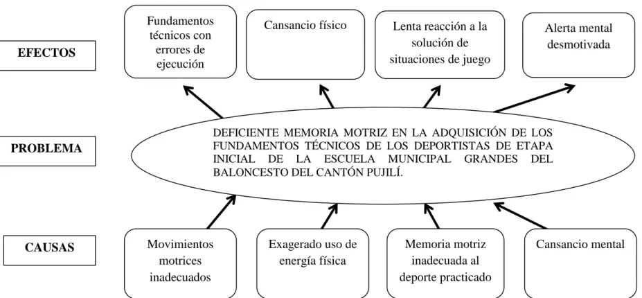 Gráfico N°  1. Árbol de Problemas. 