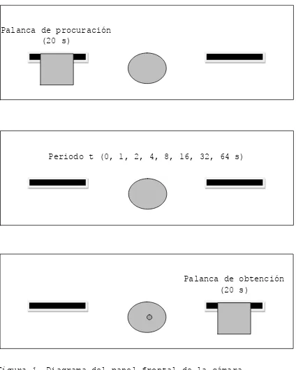 Figura 1. Diagrama del panel frontal de la cámara experimental. Para cada ensayo primero se extendió la palanca de procuración durante 20 s (panel superior), después se retrajo e inició un periodo t de 0, 1, 2, 4, 8, 16, 32, ó 64 s (panel de en medio) y finalmente se extendió la palanca de obtención durante 20 s (panel inferior).