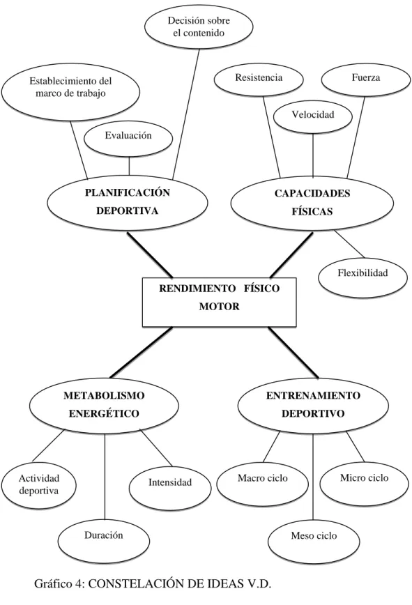 Gráfico 4: CONSTELACIÓN DE IDEAS V.D. 