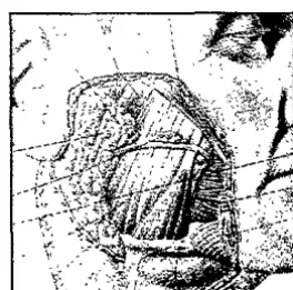 Fig.4 Descripción (lfmrtes superficiales) (19) 
