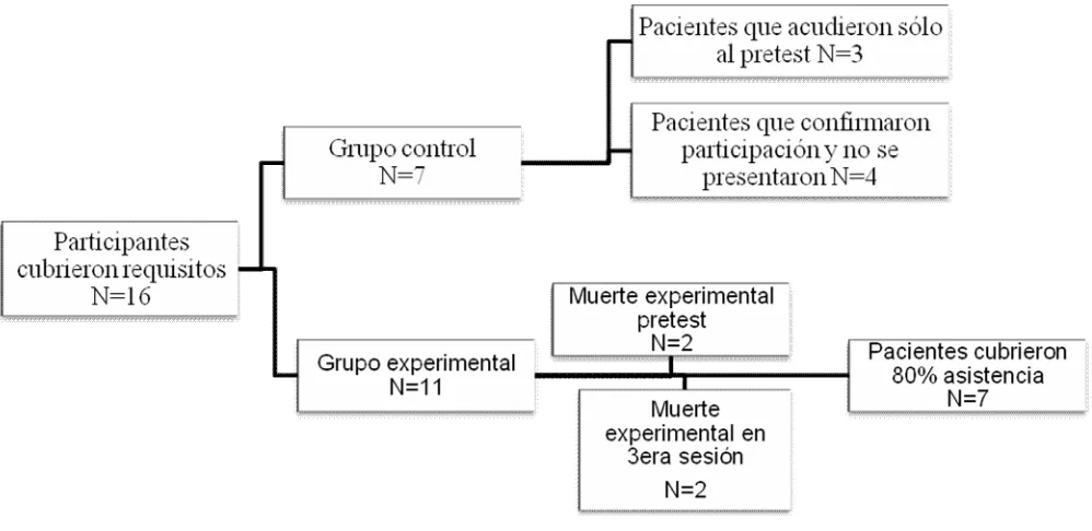 Figura 1. Esquema de asignación de los participantes a los grupos control y experimental 
