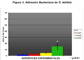 Figura 3. Adhesión Bacteriana de S. aureus. 