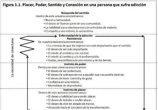 Figura 1.1. Placer, Poder, Sentido y Conexión en una persona que sufre adicción 