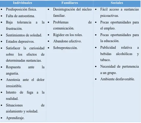 Figura 6. Factores que pueden generar una adicción (Comisión Nacional contra las Adicciones, 