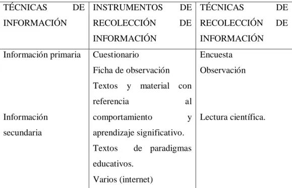 Cuadro N° 6.Plan de Procesamiento. 