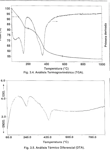 Fig. 3.4. Análisis Termogravimétrico (TGA). 