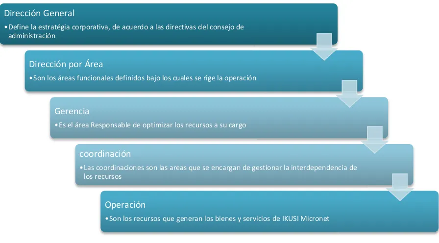 Figura 2: Organigrama Funcional IKUSI-Micronet 