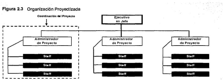 Figura 2.3 Organización Proyectlzada __________ l _______ 