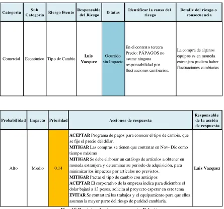 Fig. 10 Registro de riesgos proyecto Palmitas 