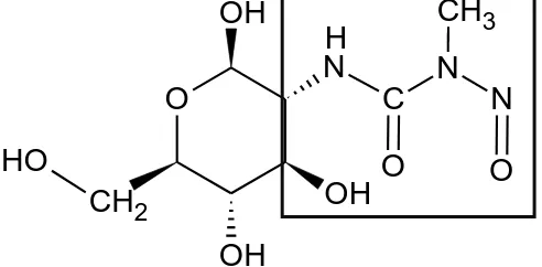 Figura  10. Estructura química de la estreptozotocina. 