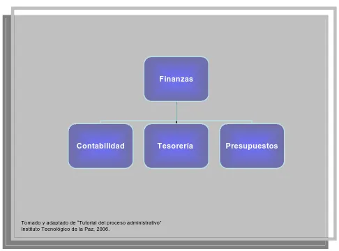 Figura 3. Estructura organizacional funcional Agrupa las actividades análogas según  su función principal