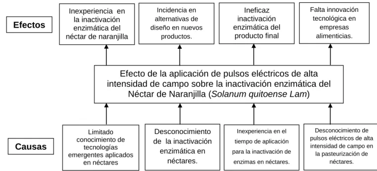 Figura 1.  Árbol de problemas  