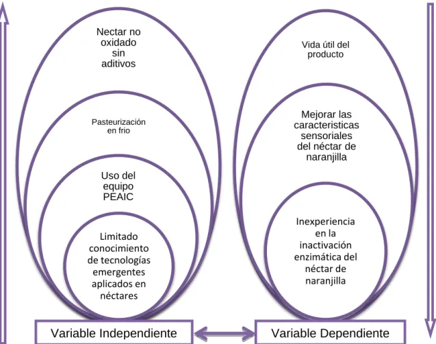 Figura  4.  Red de Inclusiones 