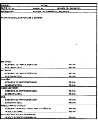 Figura 5.3 Formato para Registro de Entregas con Etiqueta Verde 