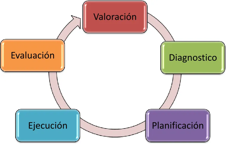 Fig. 8  Etapas del proceso enfermero. 