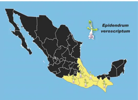 Fig. 6. Distribución geográfica de Epidendrum veroscriptum Hágsater. 