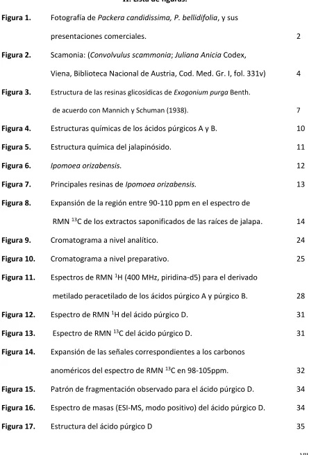 Figura 1.  
