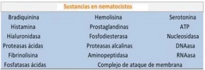 Fig. 5: Compuestos químicos identificados en nematocistos (Bergillos & Rivas, 2013). 