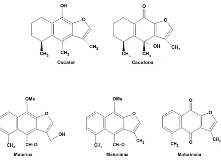 Figura 9. Estructuras químicas de sesquiterpenoides encontrados en las raíces de Psacalium decompositum