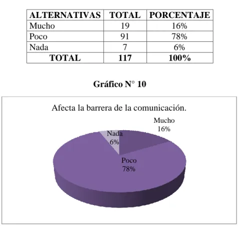 Gráfico N° 10 