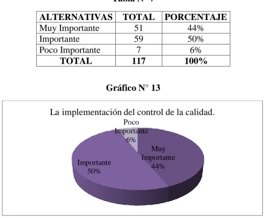Gráfico N° 13 