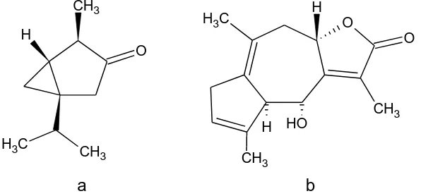 Figura 3. Monoterpeno: α-tuyona (a). Sesquiterpeno: nubiol (b). 