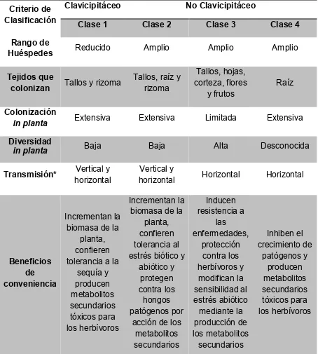Cuadro 1. Clasificación de los hongos endófitos (Rodriguez et al., 2009; Sánchez-Fernández et al., 2013)