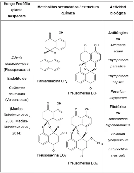 Cuadro 2. Metabolitos secundarios con actividad biológica aislados de hongos 