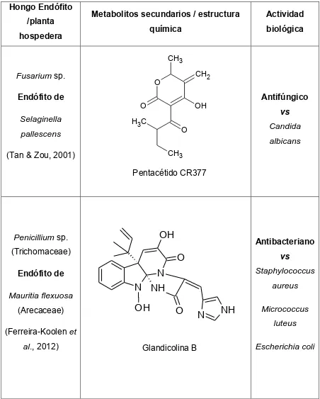 Cuadro 2. Metabolitos secundarios con actividad biológica aislados de hongos 