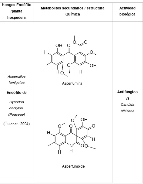 Cuadro 2. Metabolitos secundarios con actividad biológica aislados de hongos 