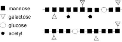 Figura 3. Representación esquemática dos estructuras de galactoglucomananos (De Vries, 2001) 