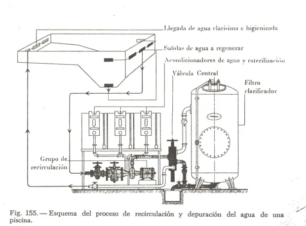 Fig. 155. -piscina. 