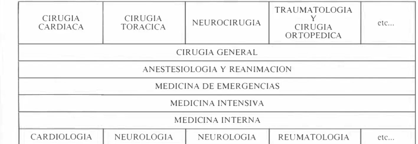 Fig.  2.  La  Medicina  de  Emergencias  centrada  en  la fase  aguda  y  con  carácter  multidisciplinar  .1'  hori::ontal  en  su  clIerpo  de  doctrina