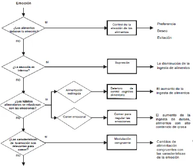 Figura 1   Modelo de las cinco vías sobre los efectos de las emociones en la alimentación, es una traducción basada en el diagrama de flujo de Mach (2008) 