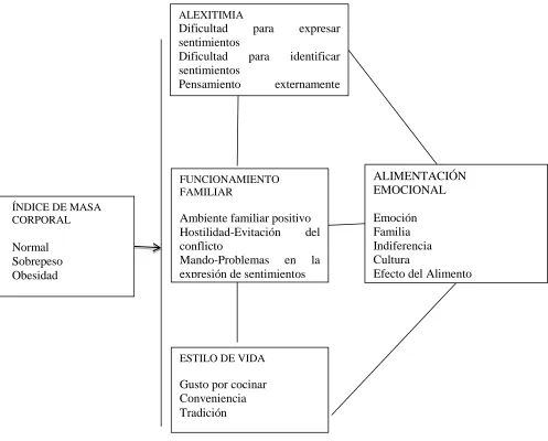 Figura 4 Modelo teórico de la relación entre las variables de estudio: Índice de masa 